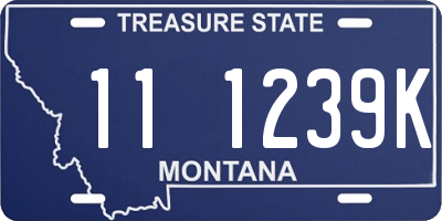 MT license plate 111239K