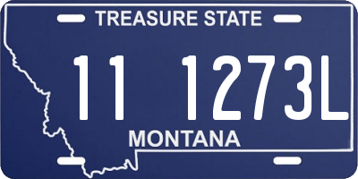 MT license plate 111273L