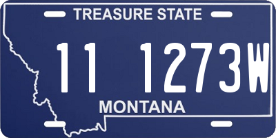 MT license plate 111273W
