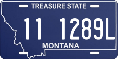 MT license plate 111289L