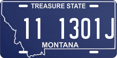 MT license plate 111301J