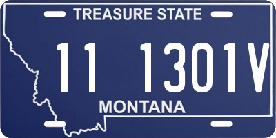 MT license plate 111301V