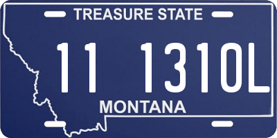 MT license plate 111310L