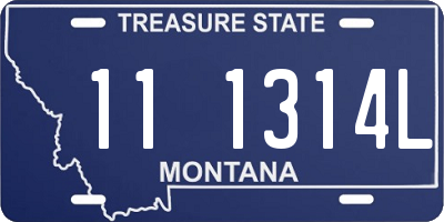 MT license plate 111314L
