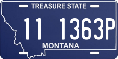 MT license plate 111363P
