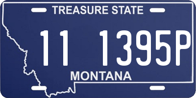 MT license plate 111395P