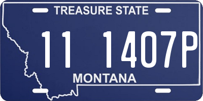 MT license plate 111407P