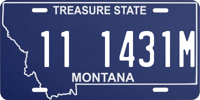 MT license plate 111431M