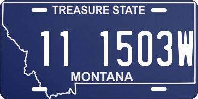 MT license plate 111503W