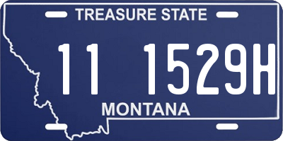 MT license plate 111529H