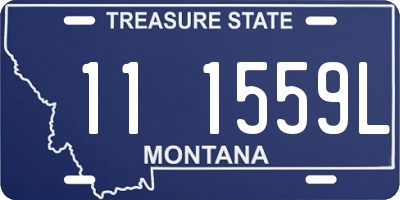 MT license plate 111559L