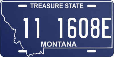 MT license plate 111608E