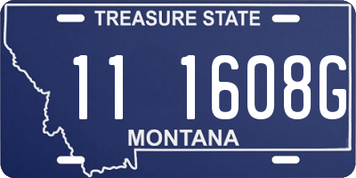 MT license plate 111608G