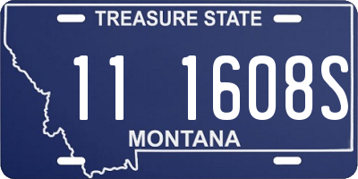 MT license plate 111608S
