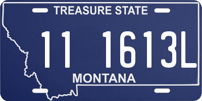 MT license plate 111613L