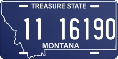 MT license plate 111619O