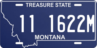 MT license plate 111622M