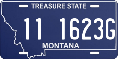 MT license plate 111623G