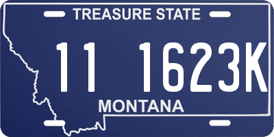 MT license plate 111623K