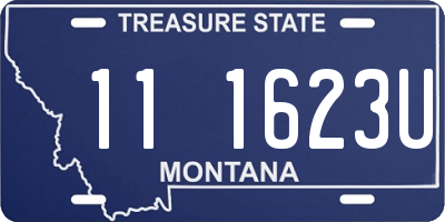 MT license plate 111623U