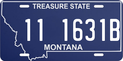 MT license plate 111631B