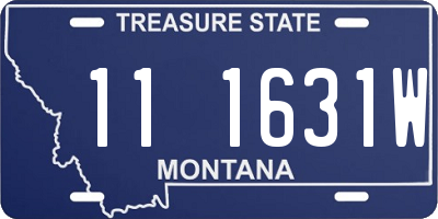 MT license plate 111631W