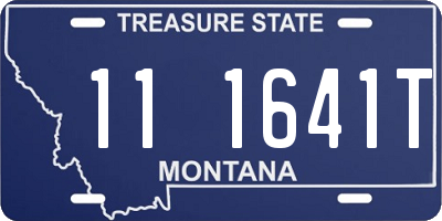 MT license plate 111641T