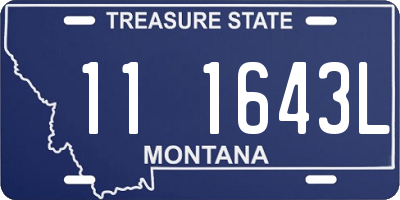 MT license plate 111643L
