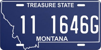 MT license plate 111646G