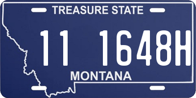MT license plate 111648H