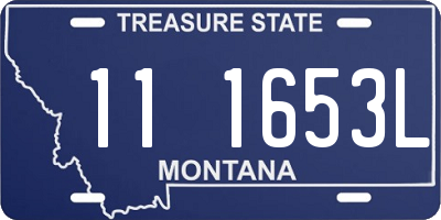 MT license plate 111653L