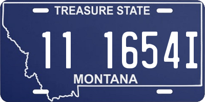 MT license plate 111654I