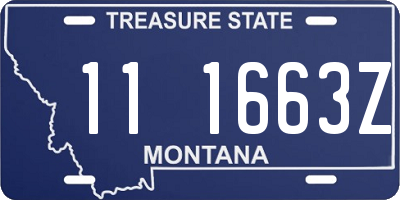 MT license plate 111663Z