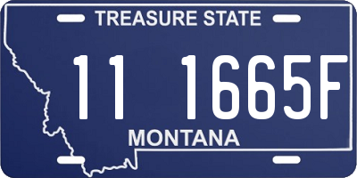MT license plate 111665F
