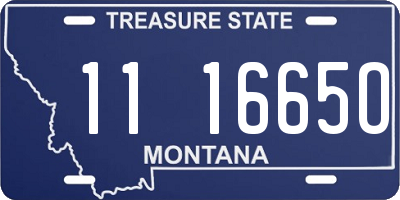 MT license plate 111665O
