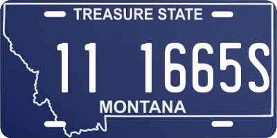MT license plate 111665S