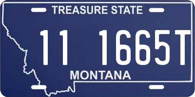 MT license plate 111665T