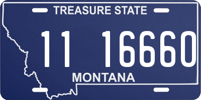 MT license plate 111666O