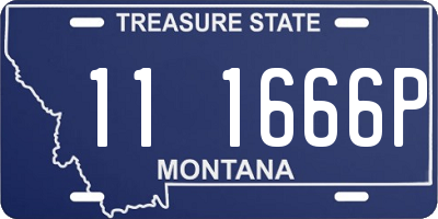 MT license plate 111666P
