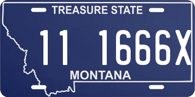 MT license plate 111666X