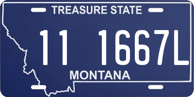 MT license plate 111667L
