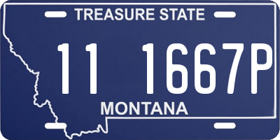 MT license plate 111667P