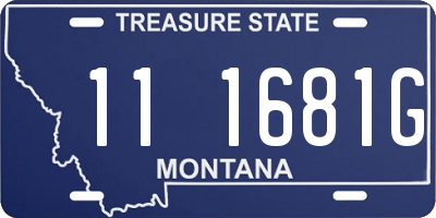 MT license plate 111681G