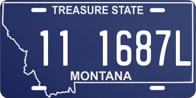 MT license plate 111687L