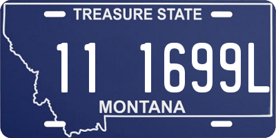 MT license plate 111699L