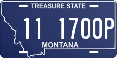 MT license plate 111700P