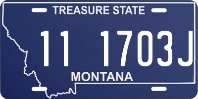 MT license plate 111703J