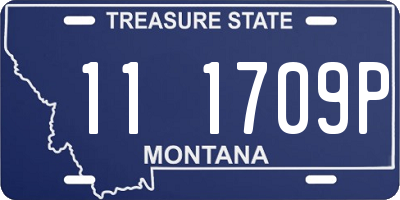 MT license plate 111709P