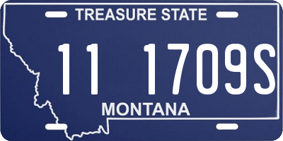 MT license plate 111709S