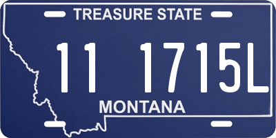 MT license plate 111715L